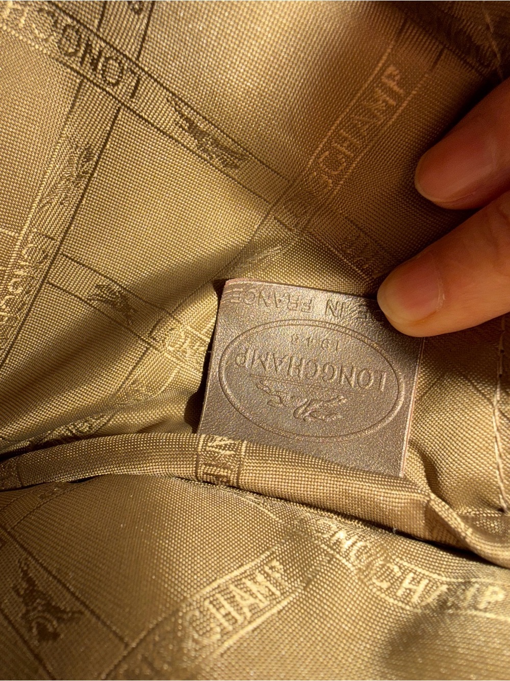 Longchamp Le Roseau Metallic Bronze Satchel Bag Made in France - Picture 7 of 12